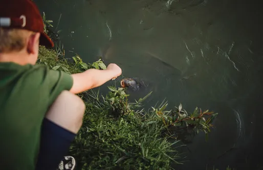Zdjęcie obiektu Domek nad Rozlewiskiem