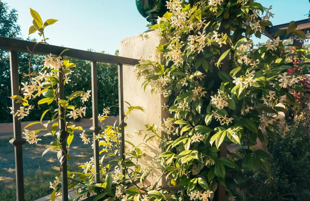 AlohaCamp accommodation Origen Andévalo Alma y paisaje 5