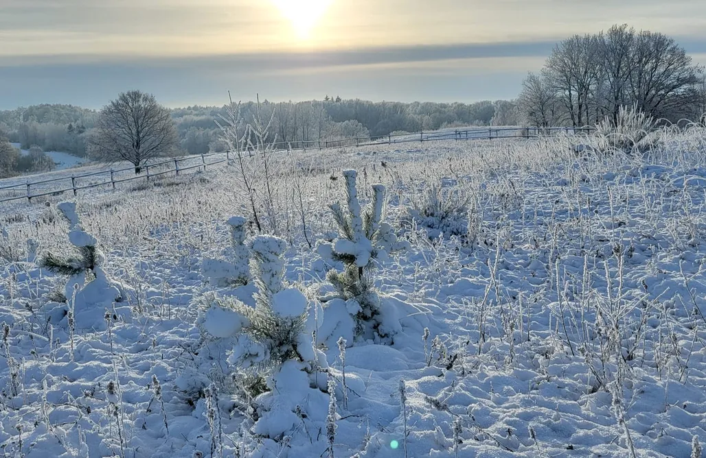 AlohaCamp accommodation Wilczy Zew Private Spa & Nature 1