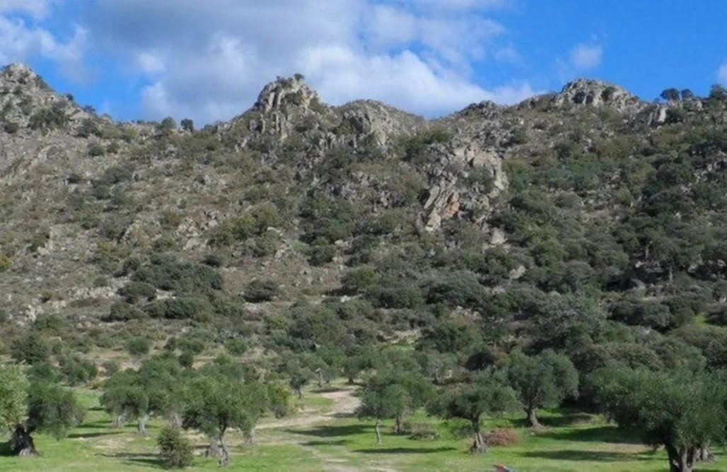 AlohaCamp El Granero 1