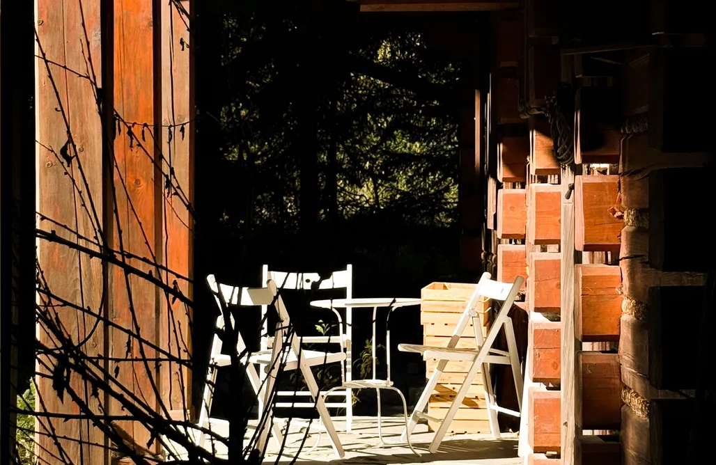 noclegi AlohaCamp Domek w zaczarowanym lesie 5