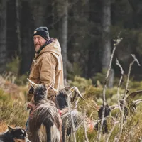 Didier gospodarz Les lits de berger