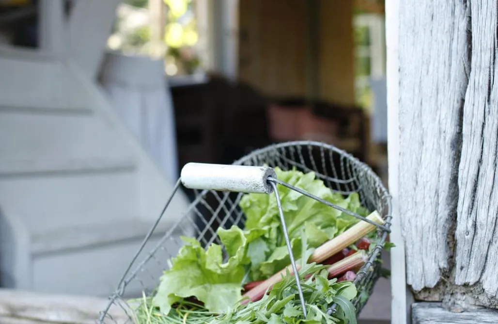 noclegi AlohaCamp Bauernkate Klein Thurow 5