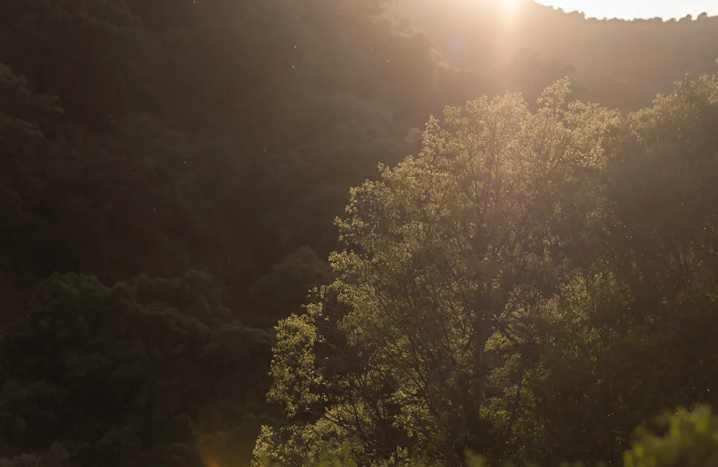 noclegi AlohaCamp Biofarm The4Elements 1