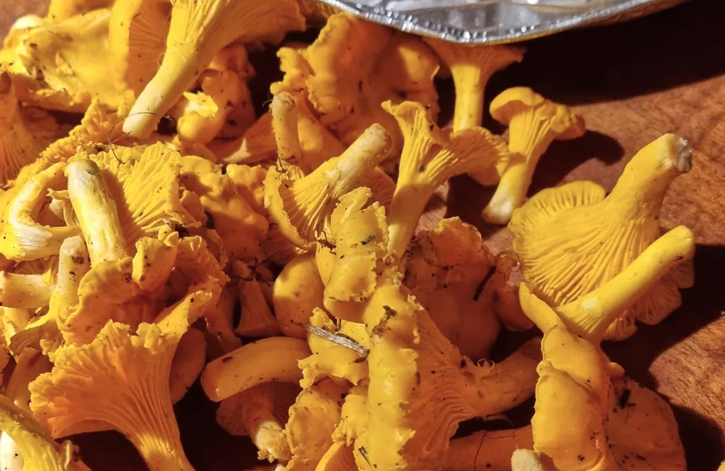 Polen Ferienhaus am See Galeria 1