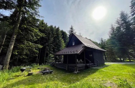 Zdjęcie obiektu Piwniczna 187 - Vintage House /balia, potok, las/
