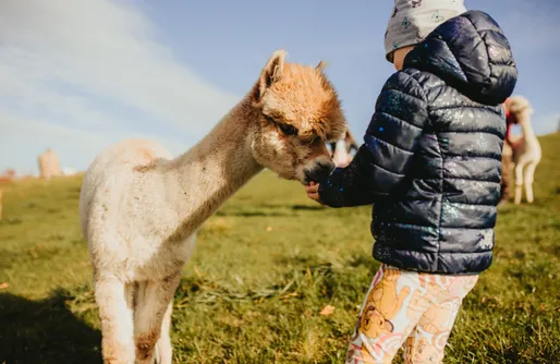 Zdjęcie obiektu Willa MM - Kaszuby