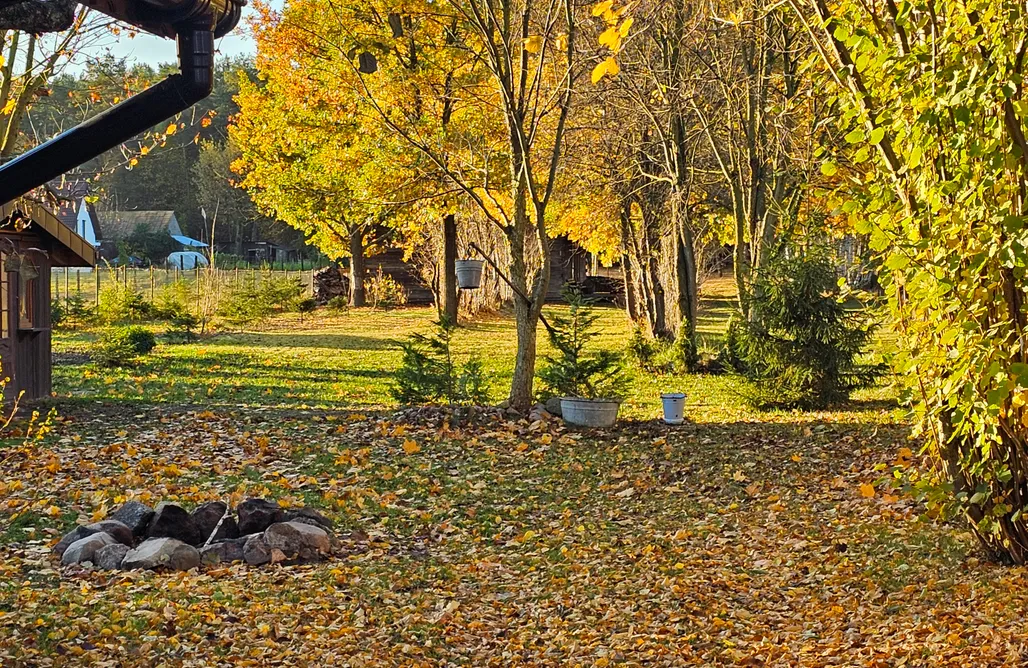 Sobolew noclegi Ranczo Przyłęk 1