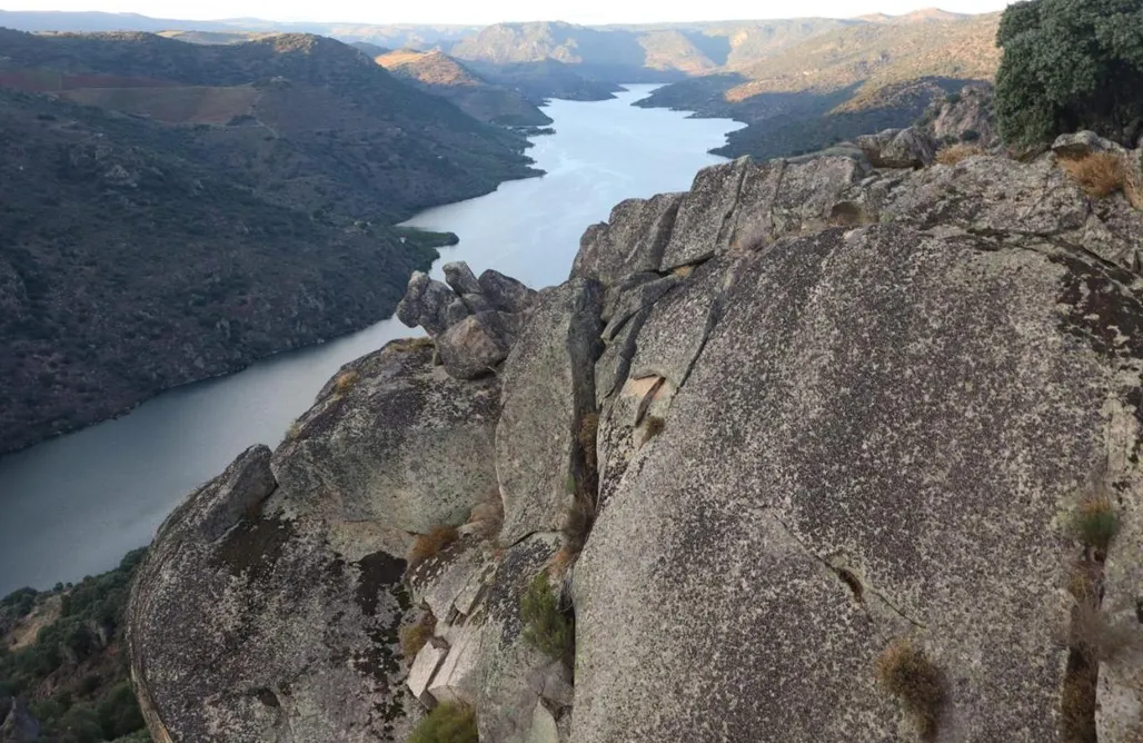 AlohaCamp Cabaña de madera 1