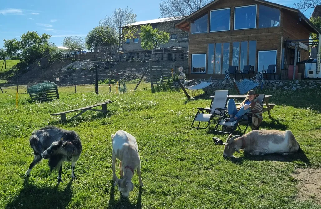 Gdynia SeliRaj - Zwierzaki, natura i Prywatne Jezioro na Kaszubach 2