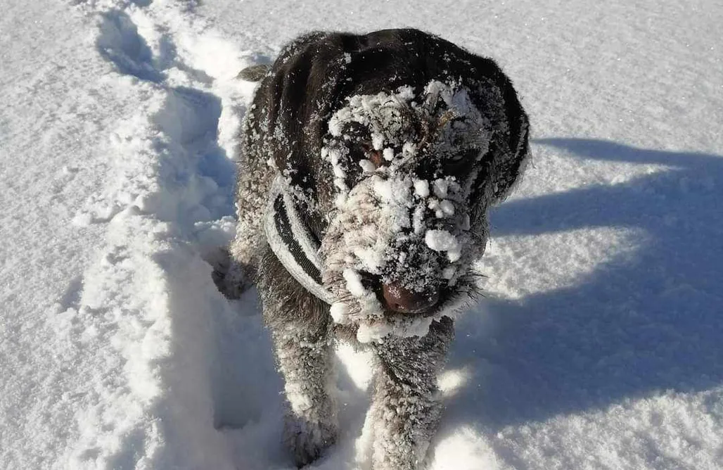 noclegi AlohaCamp Agroturystyka Taszówka - pokoje 1