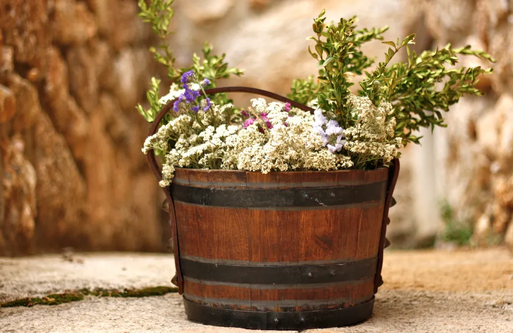 Alojamiento Valle De Aran Masia Savina I 1