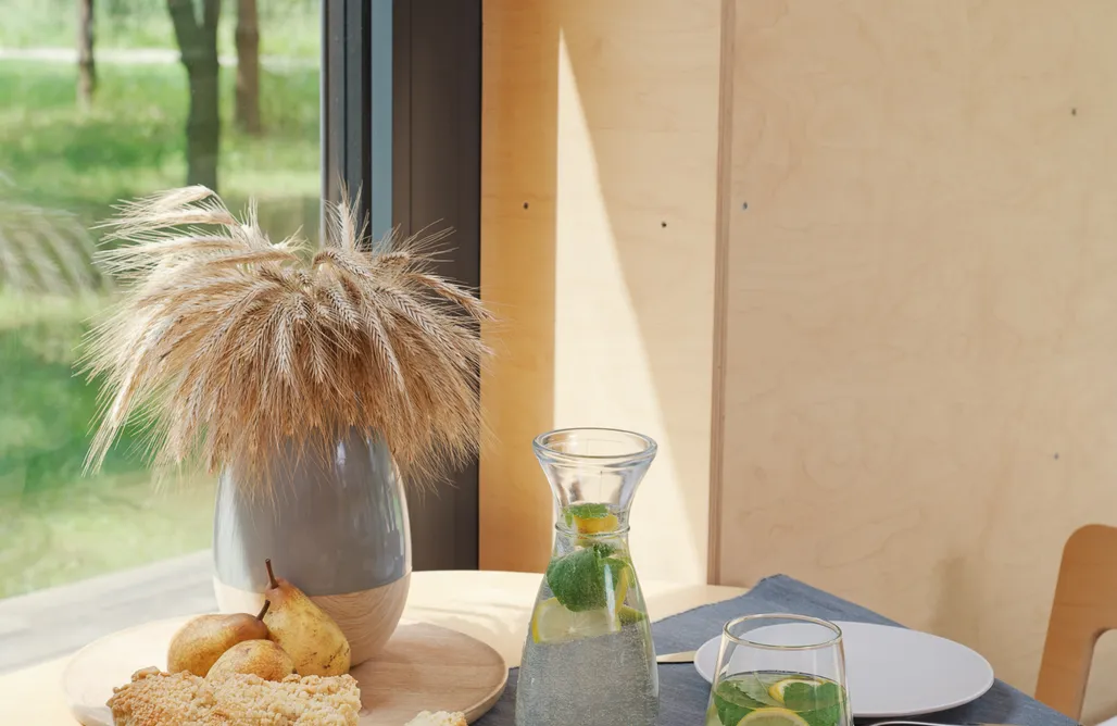 Rawa noclegi Woodx House 1