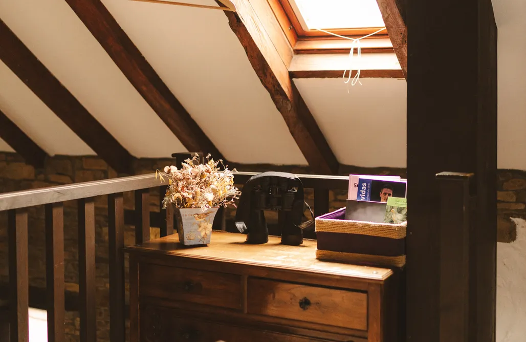 AlohaCamp La Faya - La Vallicuerra  4