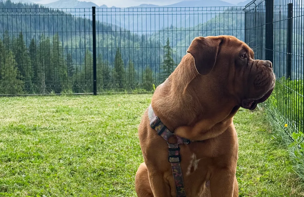 Stone suite AlohaCamp