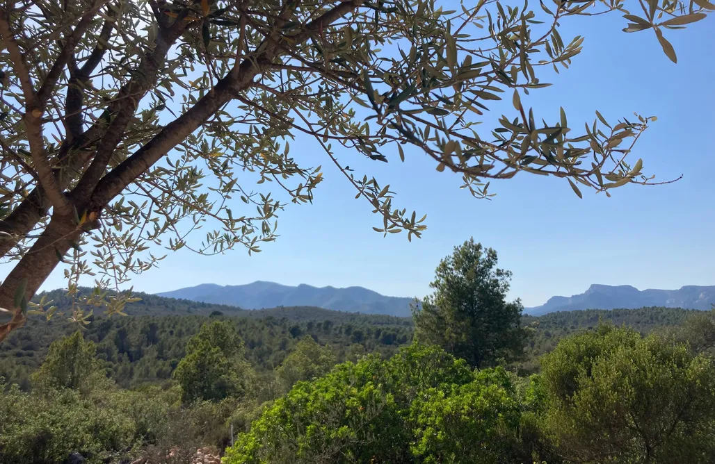 Alojamiento en Roquetes Finca Milantes 1