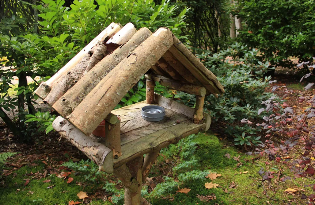 Hébergement AlohaCamp Maison dans la nature Le Petit Chasseur 5