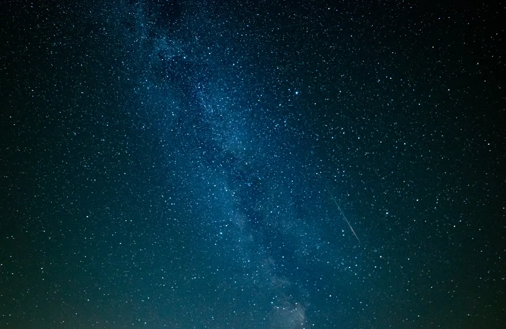 Leśna dolina - domek na drzewie AlohaCamp