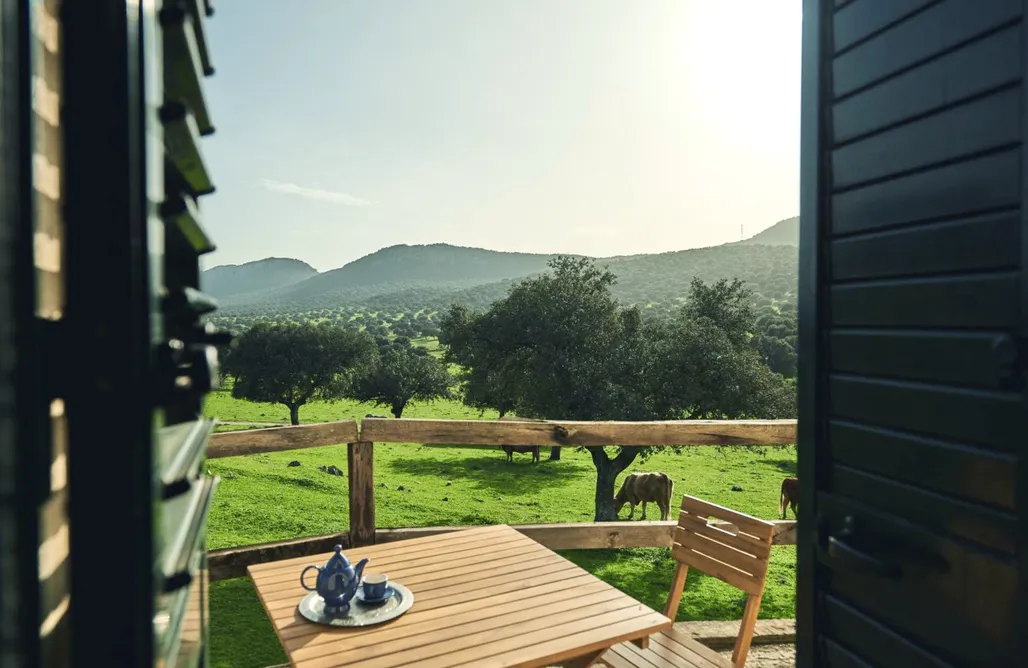 alojamientos AlohaCamp Dehesa La Pared 4