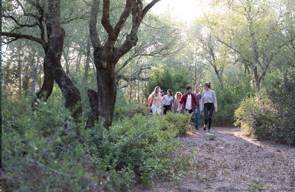 alojamientos AlohaCamp Complejo Tikal 1