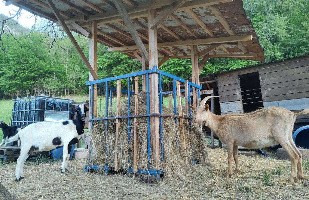 Les deux sources AlohaCamp