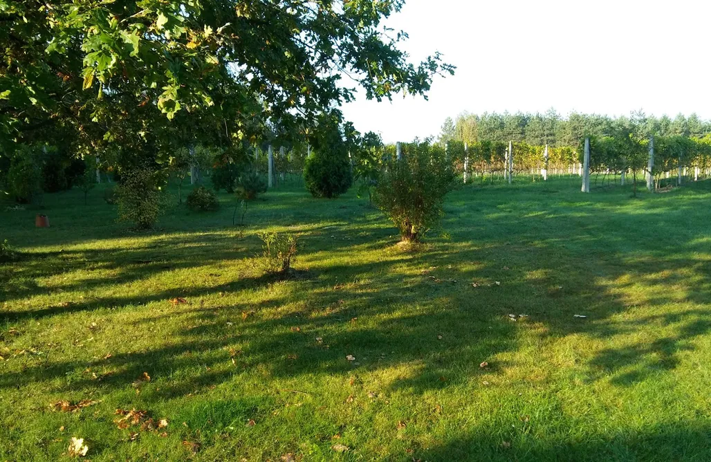 Jezioro Tarnobrzeskie Noclegi Miejsce kamperowe i namiotowe - Winnica Rytwiany 3