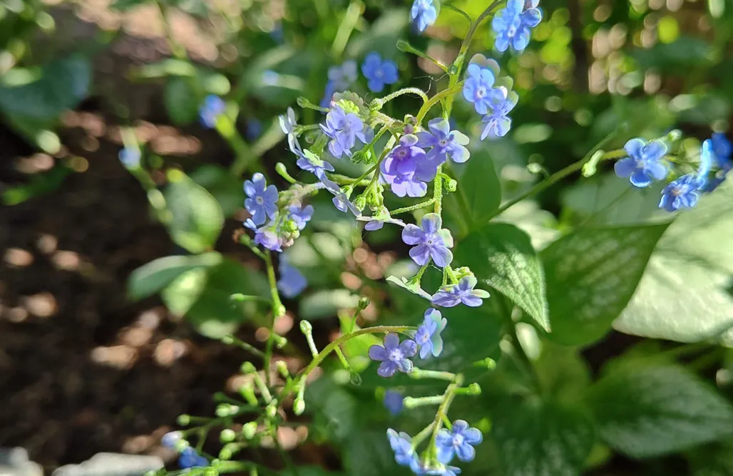 Weekend Dla Dwojga Roztocze Sielanka na Roztoczu 1