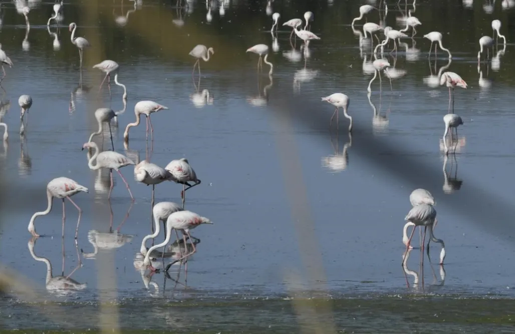 alojamientos AlohaCamp Casa Rural María 1