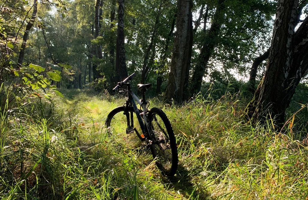 AlohaCamp Mint Loft 1