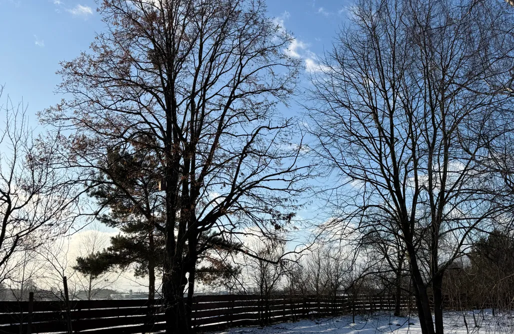 ubytovanie AlohaCamp Boguszynek 1