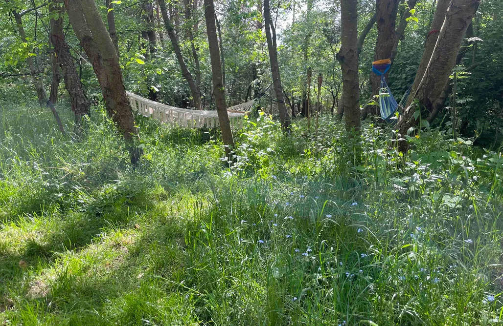 Barchów noclegi Chatka nad Liwcem 1