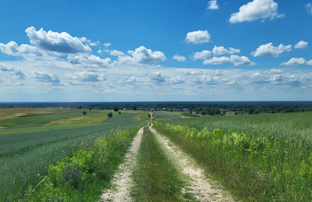 AlohaCamp Miejsce kamperowe 1