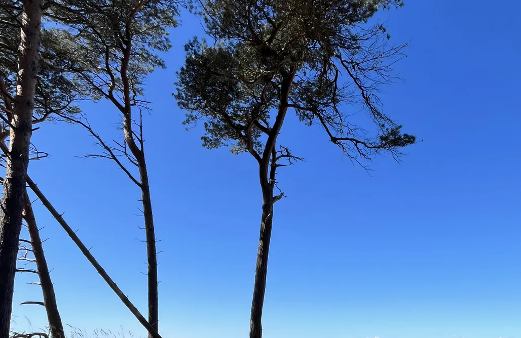 Unterkunft AlohaCamp Ankerbuk Rotes Haus 4
