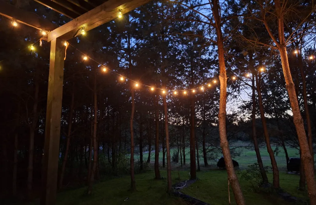 Hébergement AlohaCamp Tiny House Vitré dans la Forêt 4