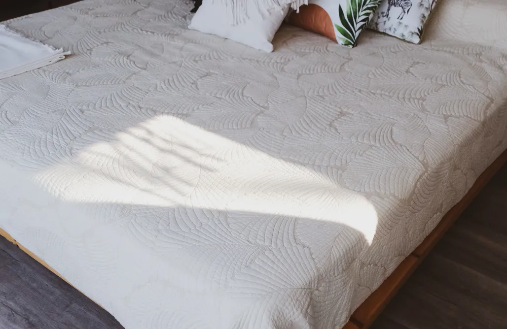 AlohaCamp Seed Domo Tarifa 3