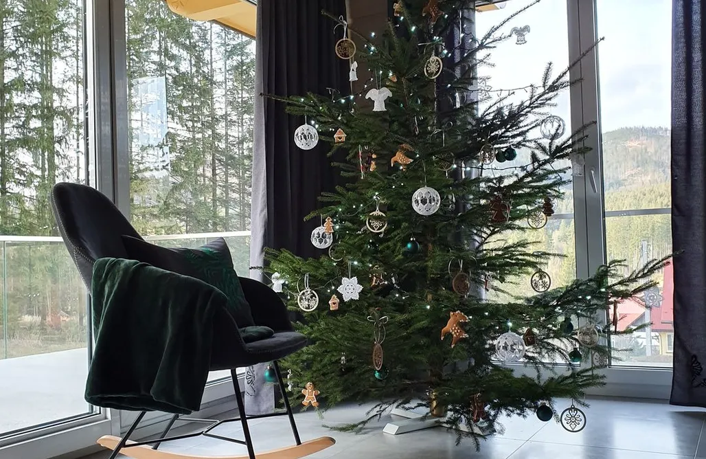 AlohaCamp Anielskie chaty - domek z widokiem na góry Solis 1