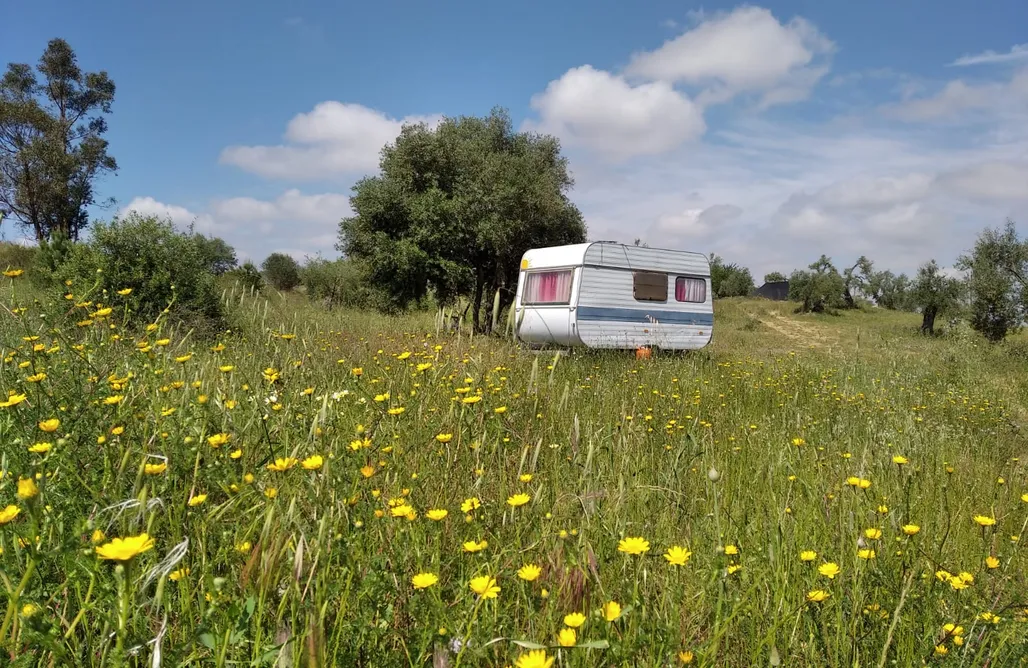 noclegi AlohaCamp Sitio para caravanas y tiendas - La Pampa 2