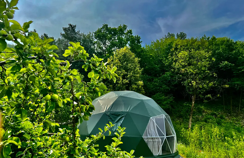 noclegi AlohaCamp Na Skraju Lasu - Glamping 2