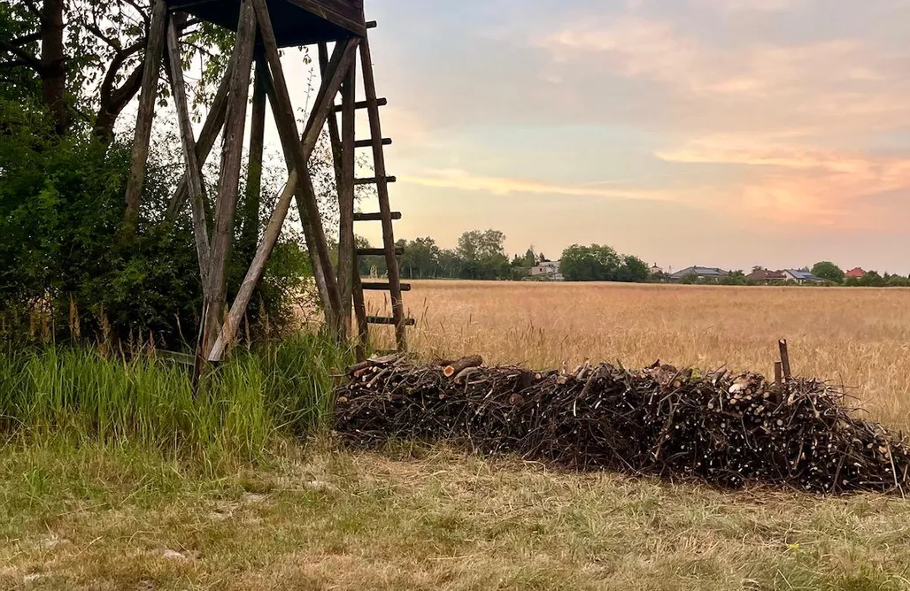 Klimatyczne Miejsca Na Weekend We Dwoje Miejsce kamperowo-namiotowe Siedlisko Przylesie 1