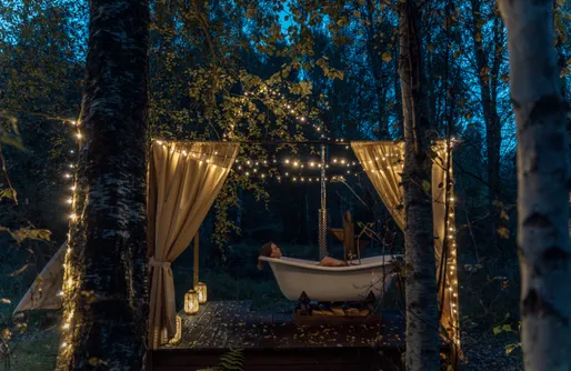 Zdjęcie obiektu Czas na Las