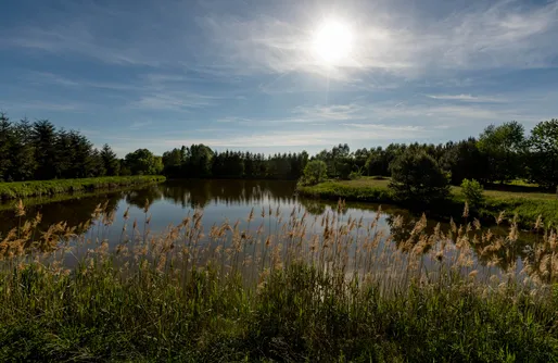 Zdjęcie obiektu Miejsce kamperowe - Zacisze pod Zającem
