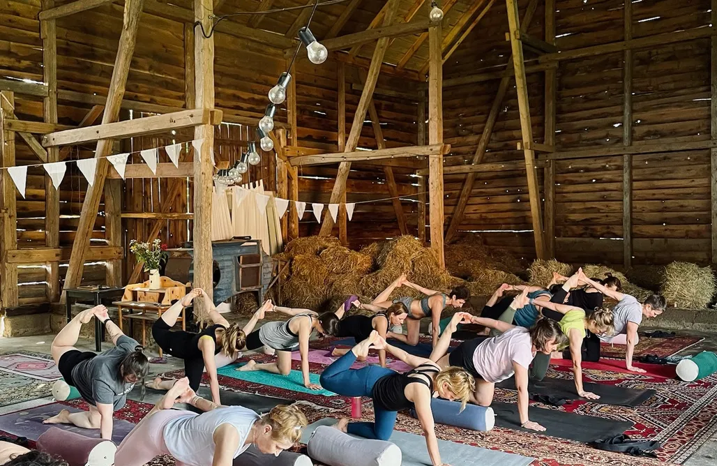 alojamientos AlohaCamp Farmia 1