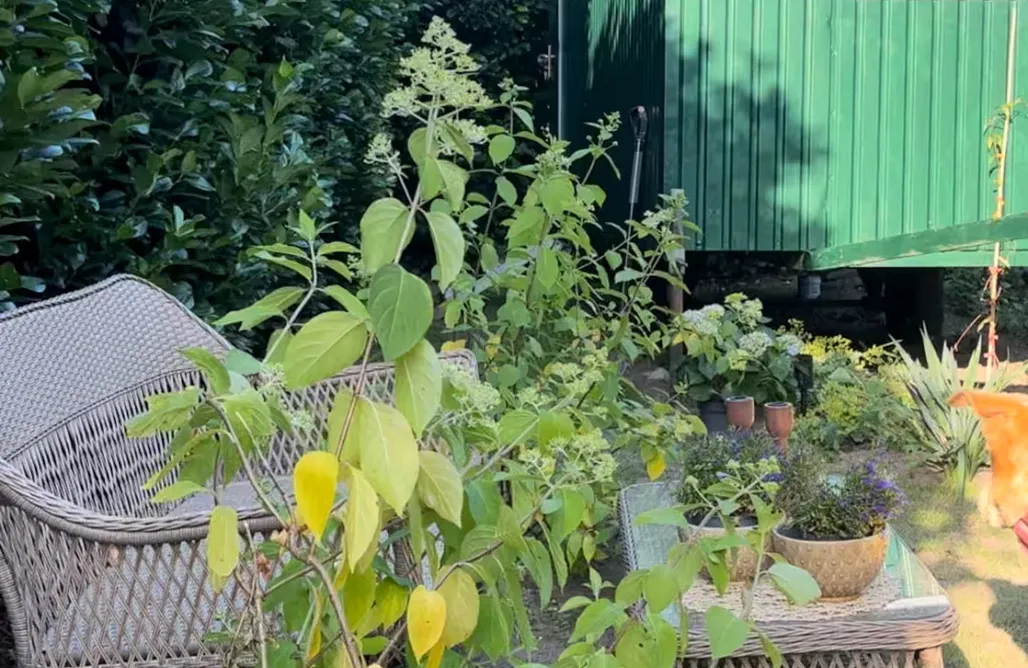 Unterkunft AlohaCamp Tinyhouse Titania 5