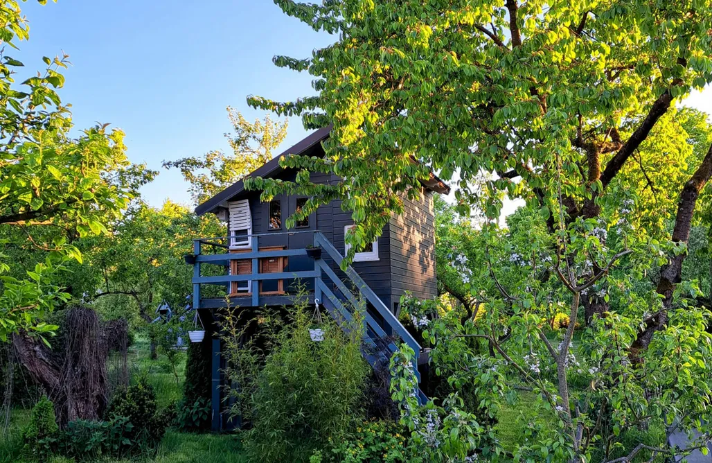 Wolkennest - Baumhaus AlohaCamp