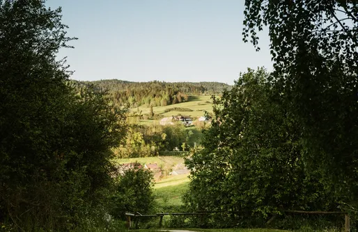 Zdjęcie obiektu Osada Knurów