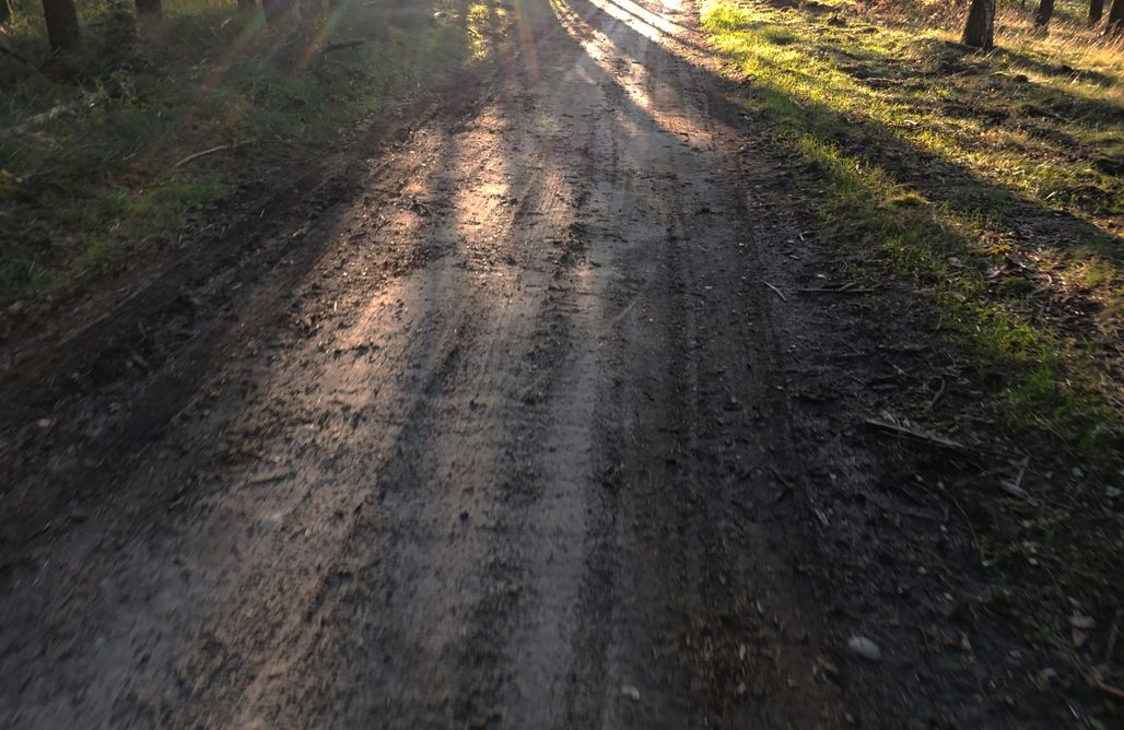 AlohaCamp Cicho-Ciszej Dom całoroczny 7-osobowy 1