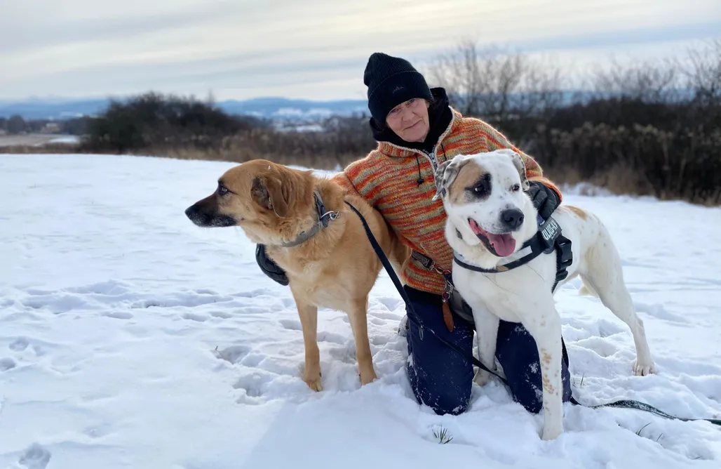 Hébergement AlohaCamp Jolinkowo 1