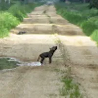 Katarzyna użytkownik