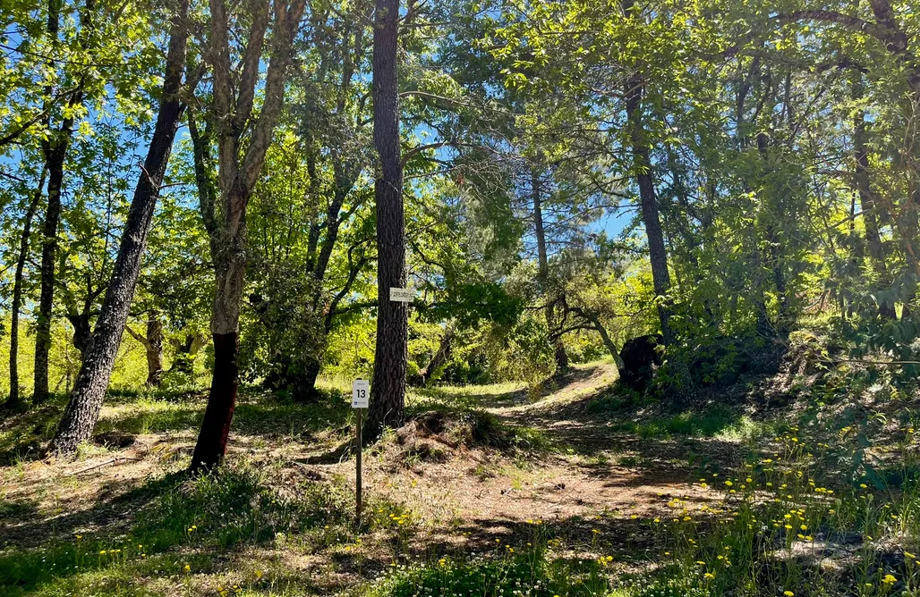 Camping Holidays Spain Sitio para tiendas y autocaravanas - Camping el Madroñal 1