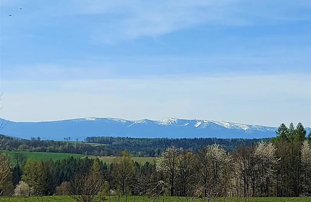 Ałabajka AlohaCamp